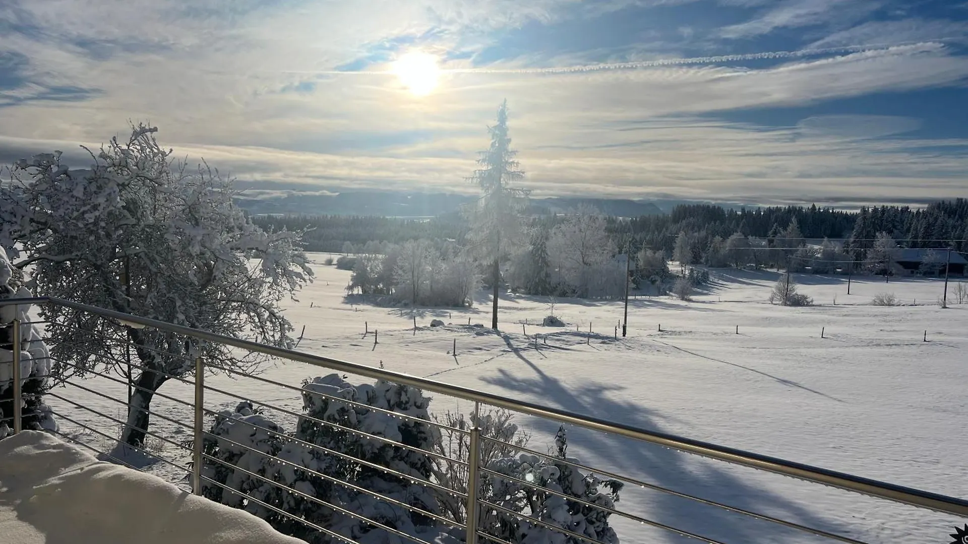 Kuh Heimat - Bergblick - Terrasse Apartment Buchenberg
