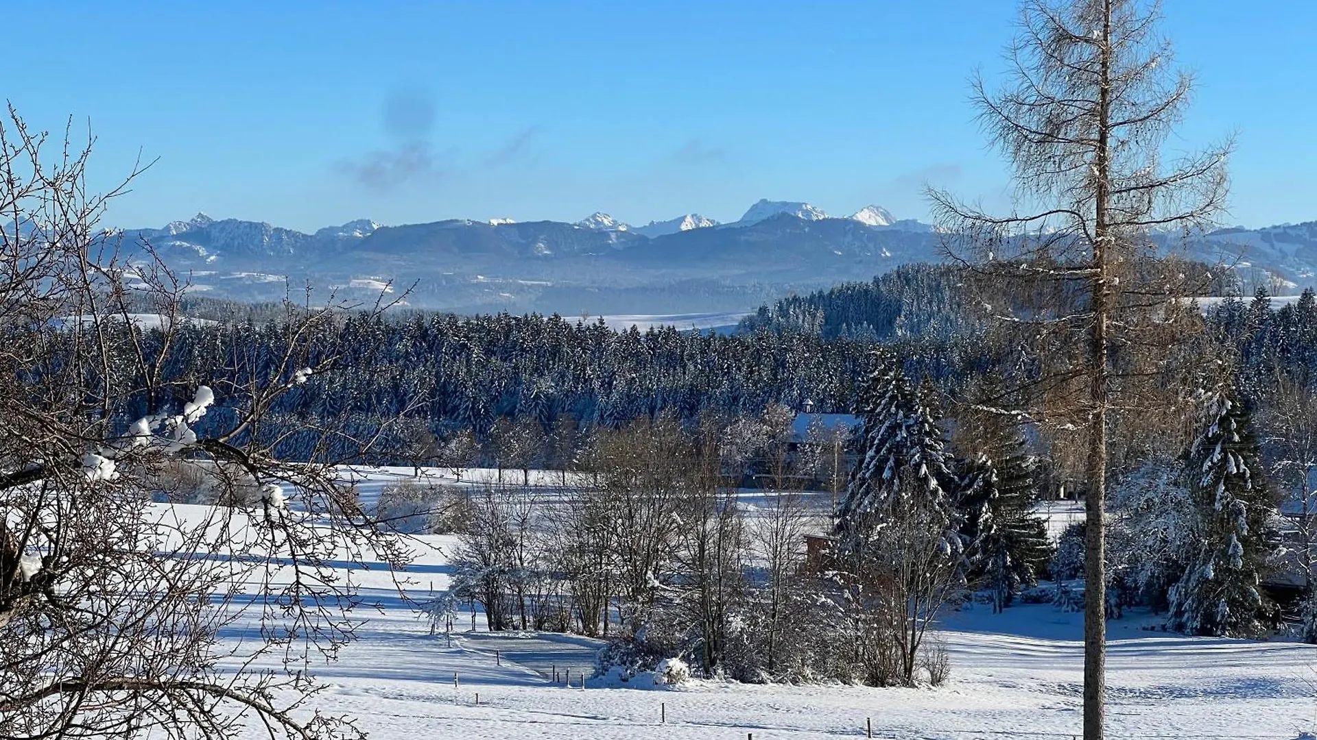 Kuh Heimat - Bergblick - Terrasse Apartment Buchenberg  Germany