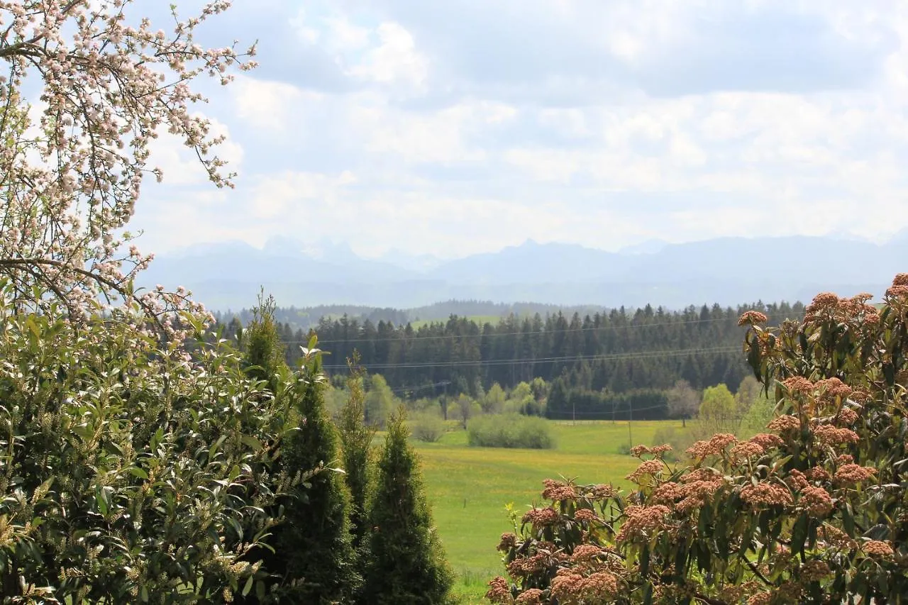 Ferienwohnung Kuh Heimat - Bergblick - Terrasse Buchenberg  0*, Buchenberg (Bavaria)