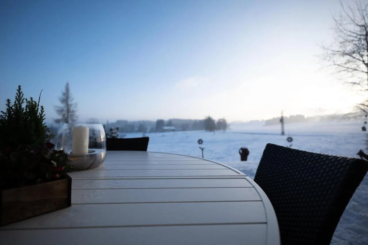 Kuh Heimat - Bergblick - Terrasse Apartment Buchenberg